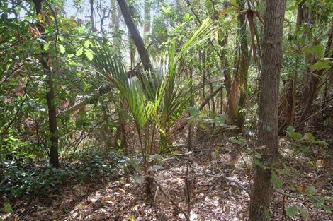 Photo of property in 914 Whakapirau Road, Whakapirau, Maungaturoto, 0583