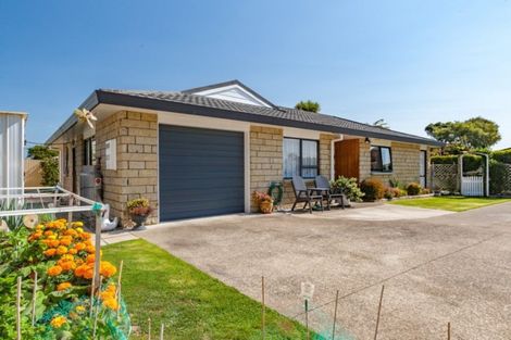 Photo of property in 29b York Street, Levin, 5510