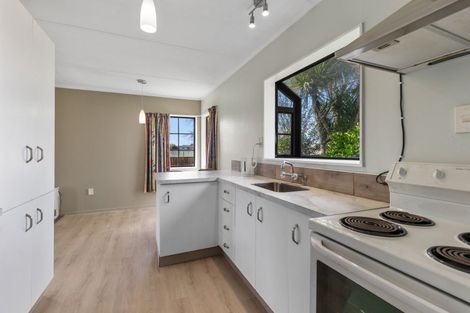 Photo of property in 12b Douglas Street, Levin, 5510