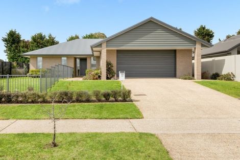 Photo of property in 43 Benmore Crescent, Pyes Pa, Tauranga, 3112