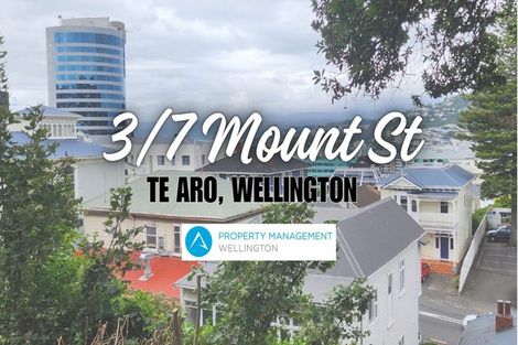 Photo of property in 7 Mount Street, Te Aro, Wellington, 6011