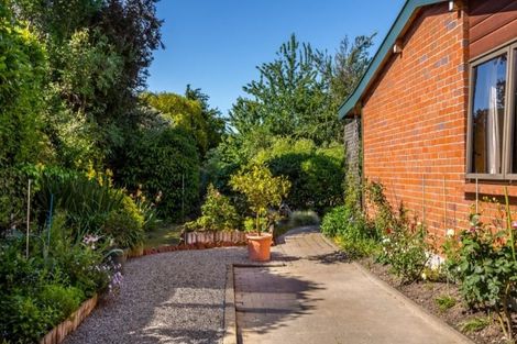 Photo of property in 48a Cole Street, Masterton, 5810