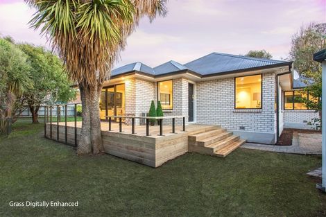 Photo of property in 8 Mcfaddens Road, St Albans, Christchurch, 8052