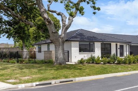 Photo of property in 1 Catherine Lane, Levin, 5510