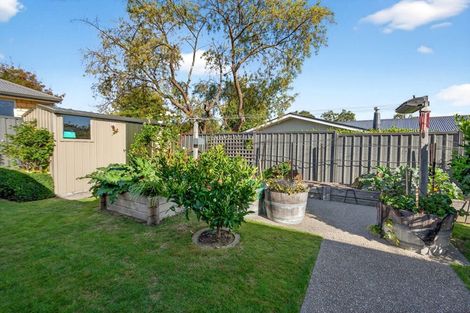Photo of property in 13 Tarata Grove, Lansdowne, Masterton, 5810