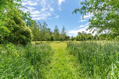 Photo of property in 29 Philip Street, Carterton, 5713