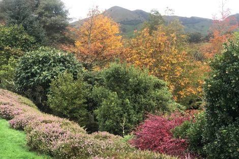 Photo of property in 22 Phillips Road, Motu, Te Karaka, 4092