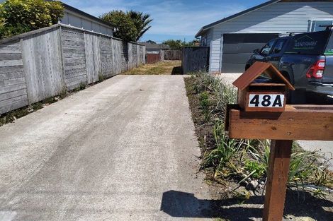 Photo of property in 48a Romilly Street, Westport, 7825