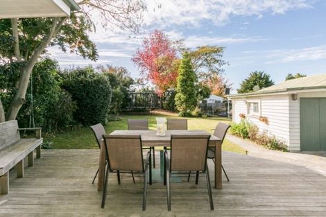 Photo of property in 407 Frederick Street, Mahora, Hastings, 4120