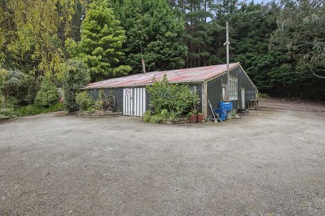 Photo of property in 11 Clearwater Street, Broad Bay, Dunedin, 9014