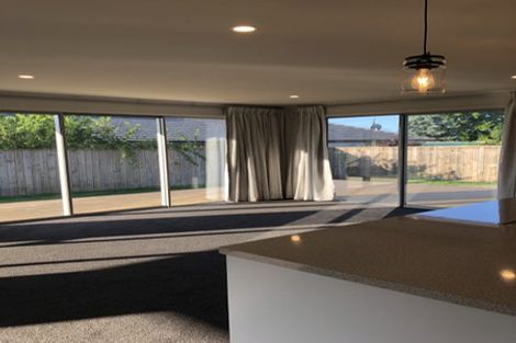 Photo of property in 3 Feijoa Way, Richmond, 7020