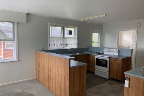 Photo of property in 125 Hutchinson Avenue, New Lynn, Auckland, 0600
