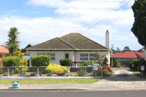 Photo of property in 17 Rogan Street, Mount Roskill, Auckland, 1041