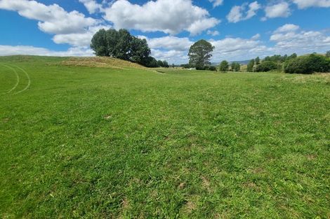 Photo of property in 358 Mangaotaki Road, Piopio, 3971