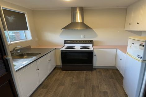Photo of property in 57 Tripoli Road, Panmure, Auckland, 1072