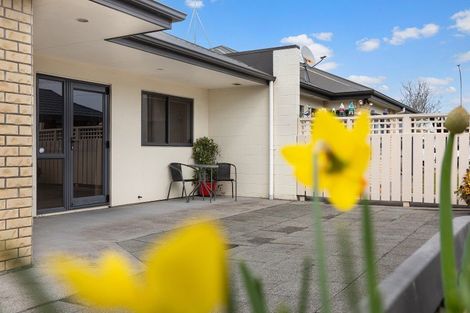 Photo of property in 92b Studholme Street, Morrinsville, 3300