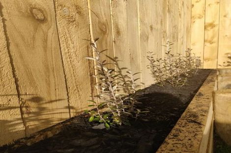 Photo of property in 14 Papai Lane, Massey, Auckland, 0614