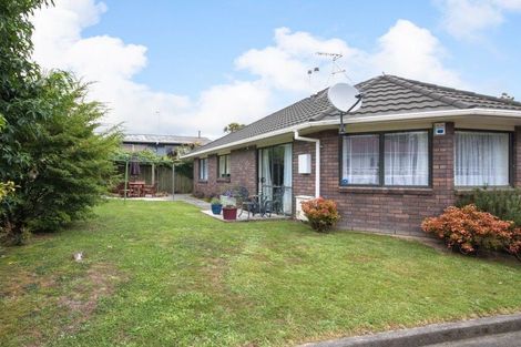 Photo of property in 198b Vogel Street, Roslyn, Palmerston North, 4414