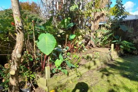Photo of property in 6 Nettlingham Place, Te Puke, 3119