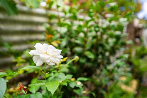 Photo of property in 21a Tamure Place, Ruakaka, 0116