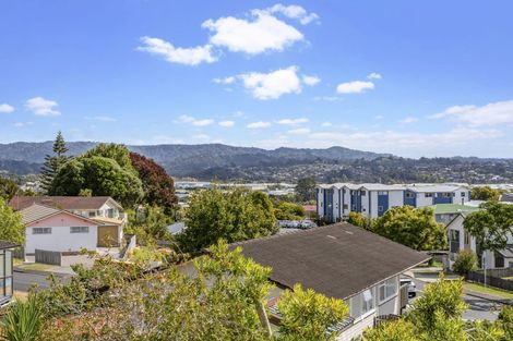 Photo of property in 43 Waitaki Street, Henderson, Auckland, 0612