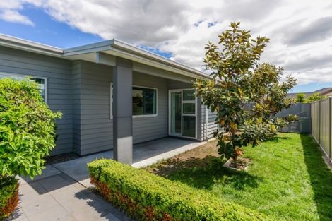 Photo of property in 9 Inglis Place, Mahora, Hastings, 4120