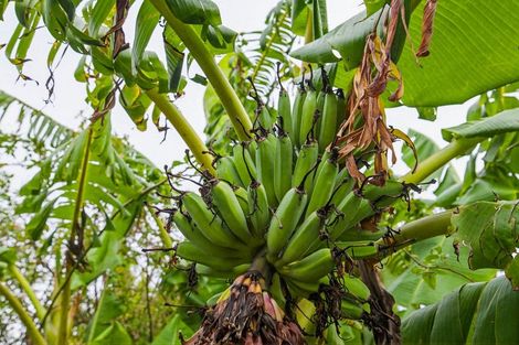 Photo of property in 63 Waipunahau Road, Waikanae, 5036