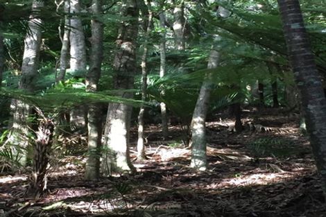 Photo of property in 16 Waikarekare Lane, Karekare, Auckland, 0772