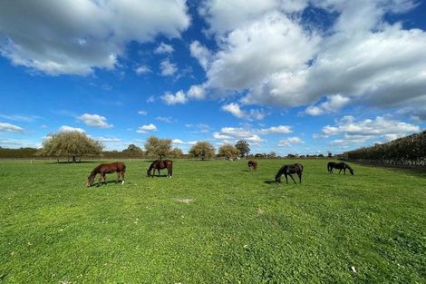 Photo of property in 598 Marychurch Road, Matangi, Hamilton, 3284
