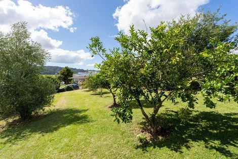Photo of property in 15 Church Street, Kawakawa, 0210
