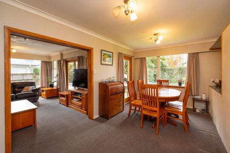 Photo of property in 53 Wyndham Street, Ashhurst, 4810