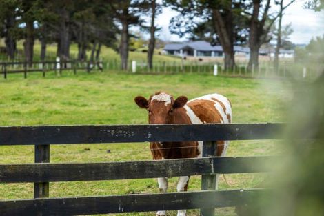 Photo of property in 21 Glenn Street, Castlecliff, Whanganui, 4501