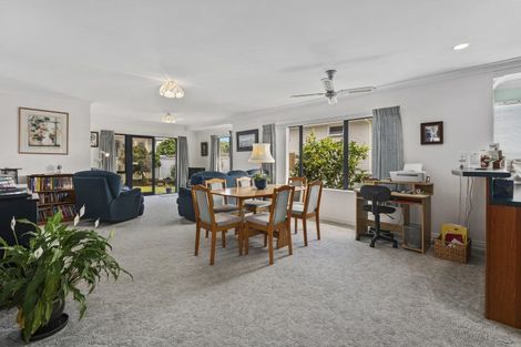 Photo of property in 19a Hayes Avenue, Gate Pa, Tauranga, 3112