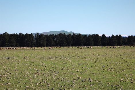 Photo of property in 161 Innes Road, St Albans, Christchurch, 8052