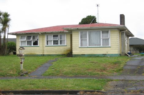Photo of property in 20 Duke Avenue, Pukekohe, 2120