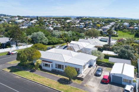 Photo of property in 55 Murdoch Road, Grey Lynn, Auckland, 1021