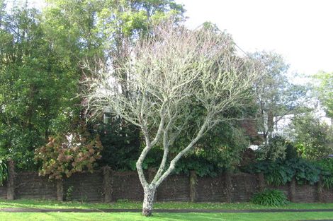 Photo of property in 37 Malcolm Street, Riverlea, Hamilton, 3216