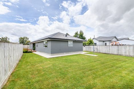 Photo of property in 96a Sherwill Street West, Feilding, 4702