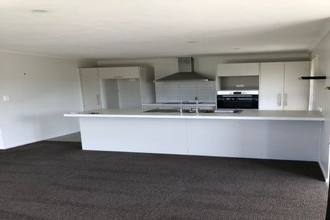 Photo of property in 133 Condor Drive, Pyes Pa, Tauranga, 3112