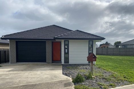 Photo of property in 68 Hinemoa Street, Levin, 5510