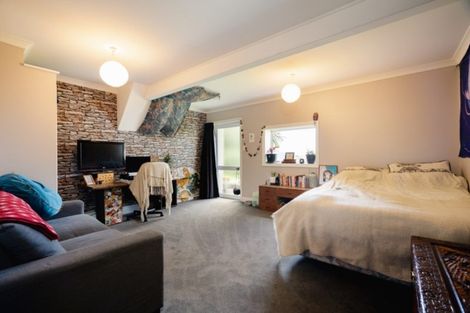 Photo of property in 3 Littlebourne Road, Roslyn, Dunedin, 9010