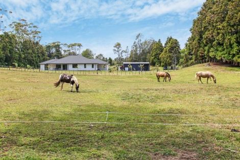 Photo of property in 199 Glenbrook Waiuku Road, Glenbrook, 2681