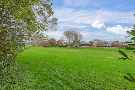 Photo of property in 19 Humphries Place, Awapuni, Palmerston North, 4412