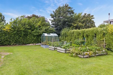 Photo of property in 47 Belt Street, Waimate, 7924