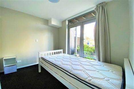 Photo of property in 36 Ngaoho Place, Parnell, Auckland, 1010