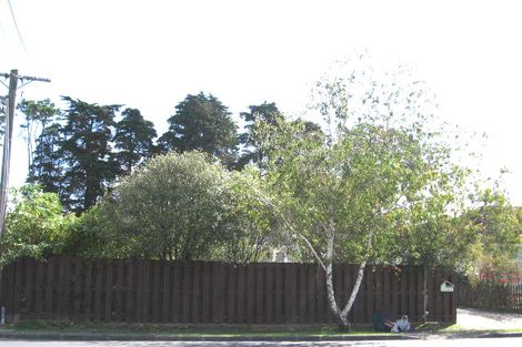 Photo of property in 131 Portage Road, New Lynn, Auckland, 0600