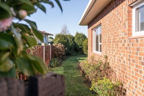 Photo of property in 14 Takahe Street, Masterton, 5810