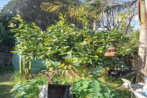 Photo of property in 40 Judea Road, Judea, Tauranga, 3110