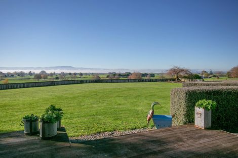 Photo of property in 446 Station Road, Matamata, 3472