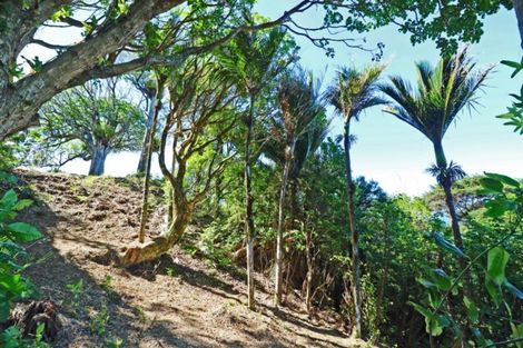 Photo of property in 27 Boulder Bay Drive, Tuateawa, Coromandel, 3583